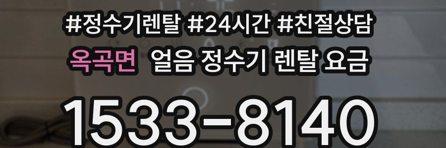 옥곡면 얼음 정수기 렌탈 요금