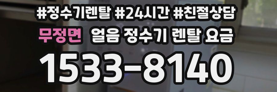 무정면 얼음 정수기 렌탈 요금