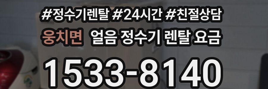 웅치면 얼음 정수기 렌탈 요금