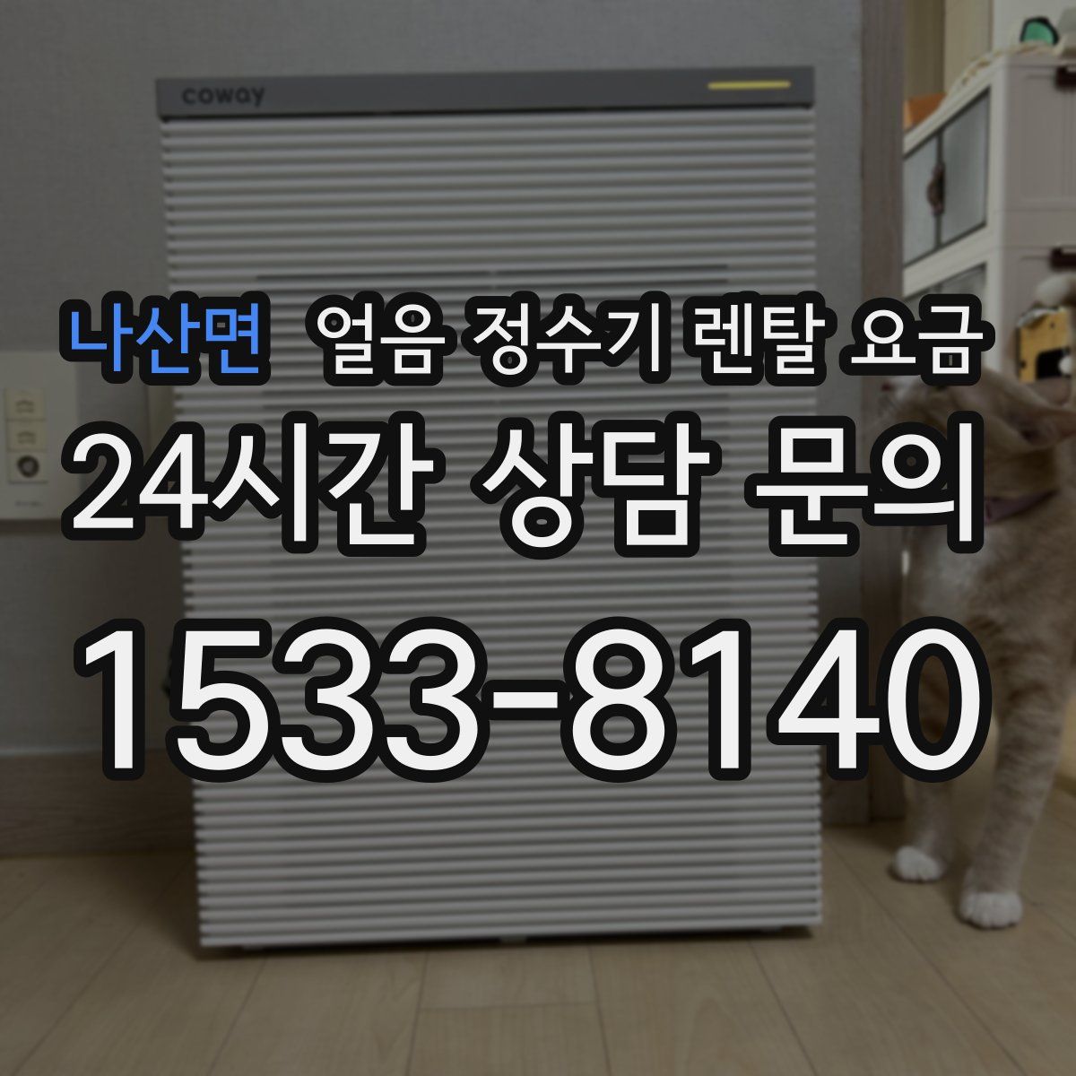 나산면 얼음 정수기 렌탈 요금