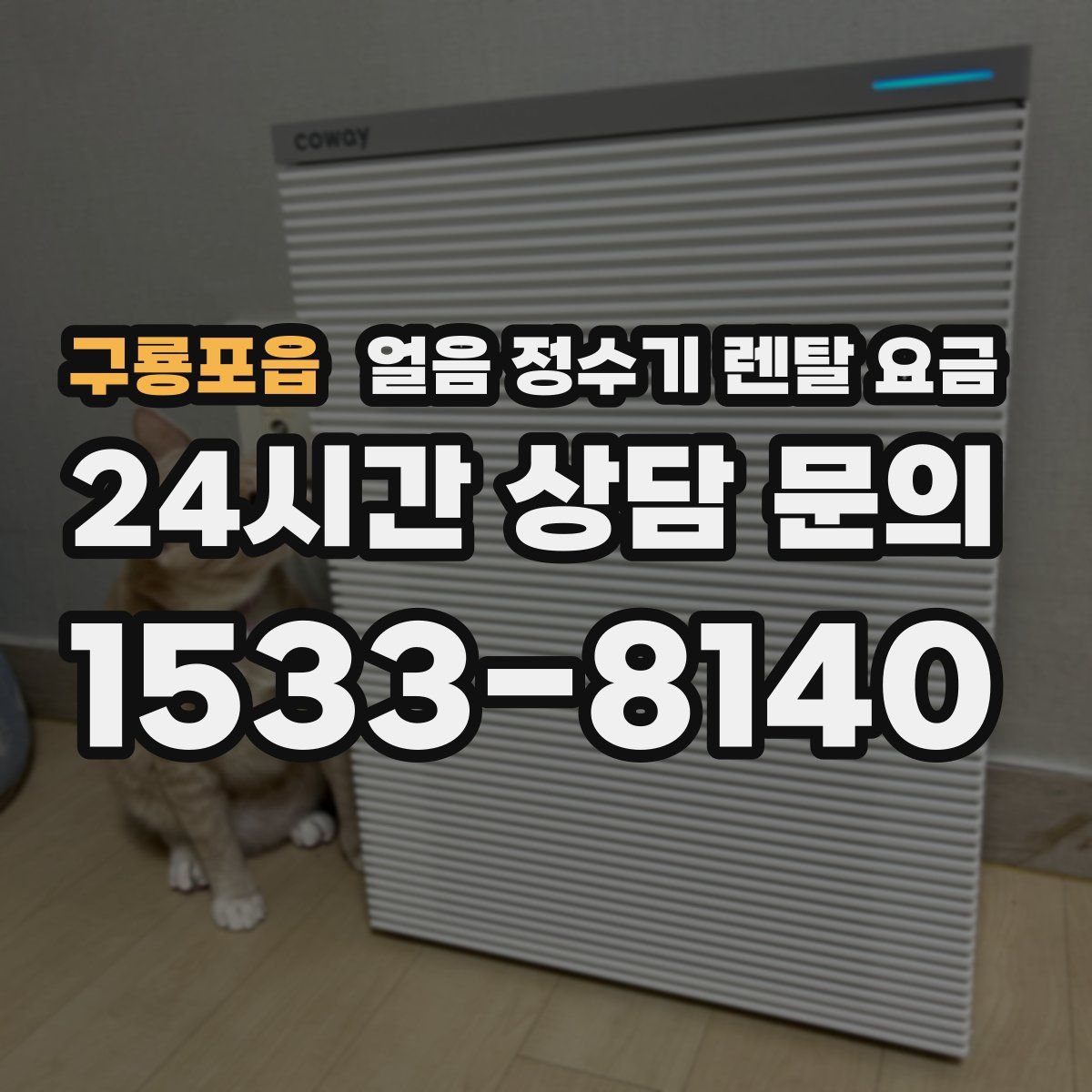 구룡포읍 얼음 정수기 렌탈 요금