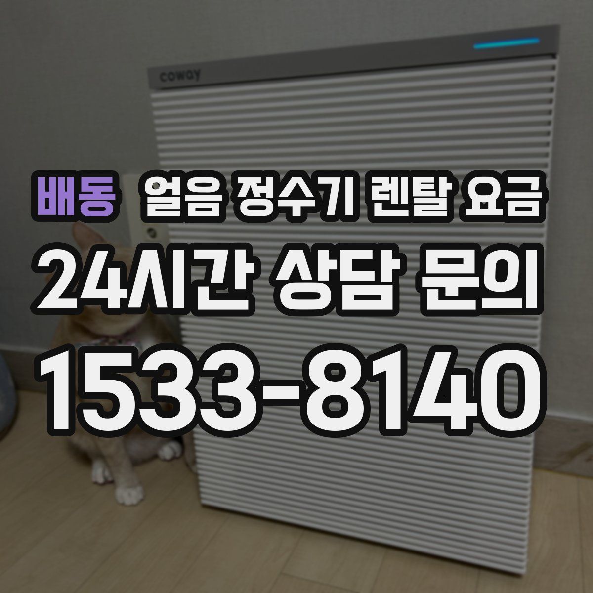 배동 얼음 정수기 렌탈 요금