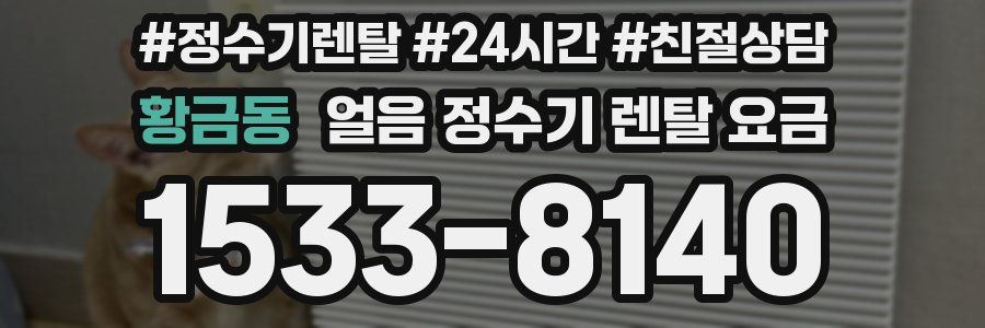 황금동 얼음 정수기 렌탈 요금