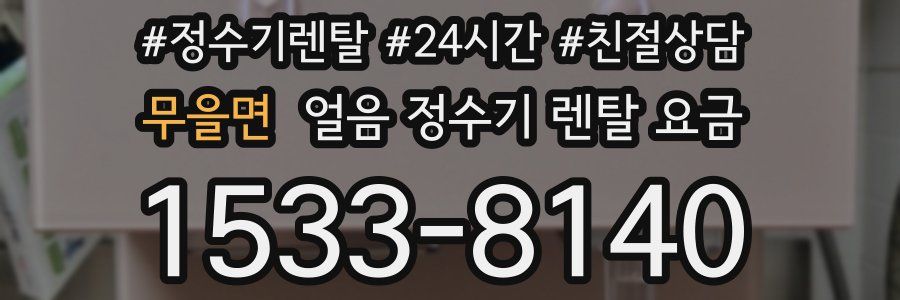 무을면 얼음 정수기 렌탈 요금