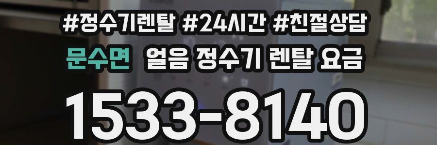문수면 얼음 정수기 렌탈 요금