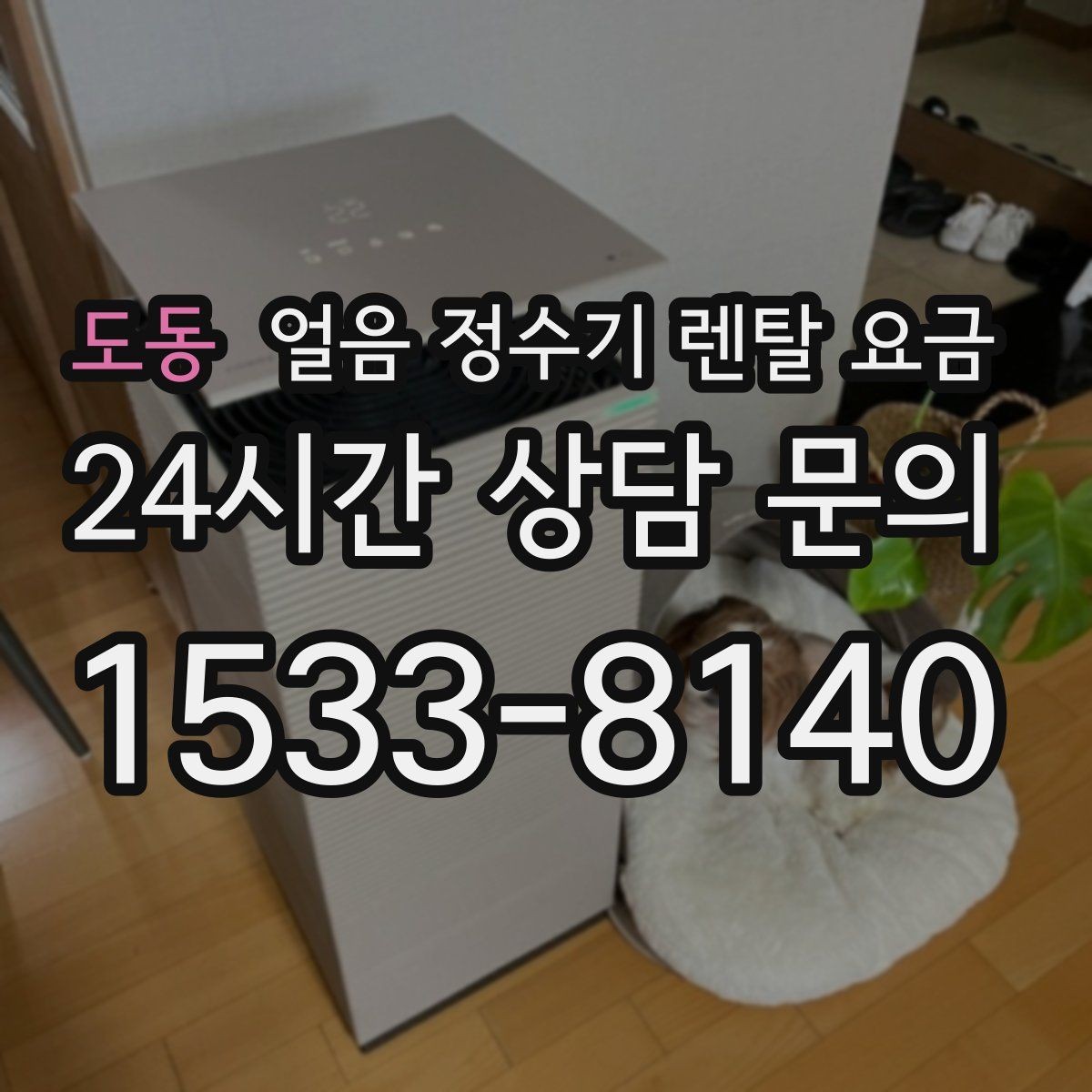 도동 얼음 정수기 렌탈 요금 사무실 회의실용 선택 기준