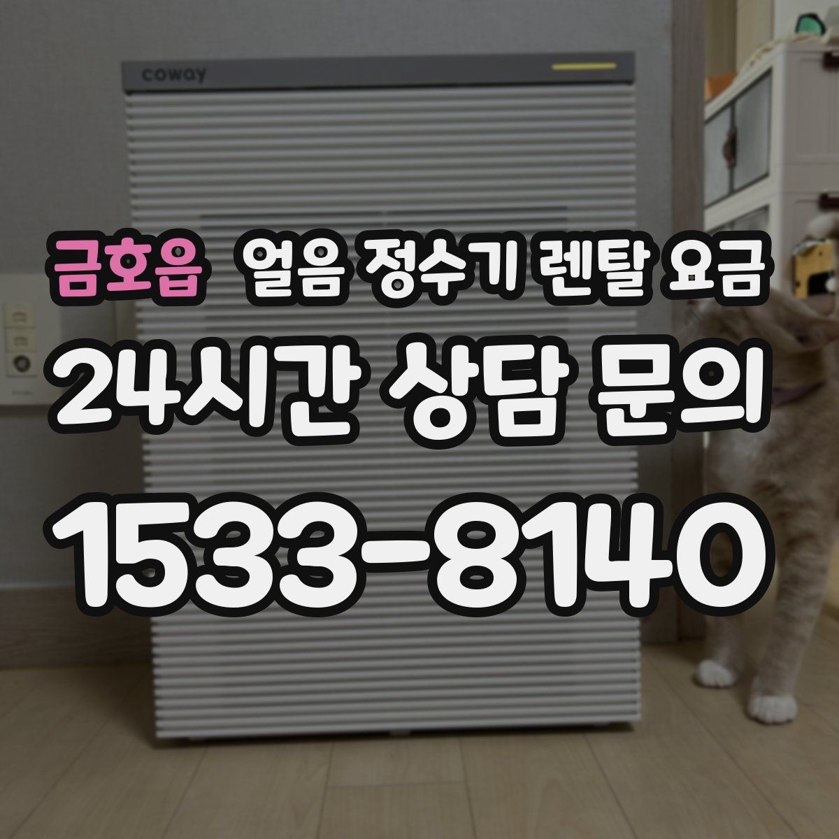 금호읍 얼음 정수기 렌탈 요금