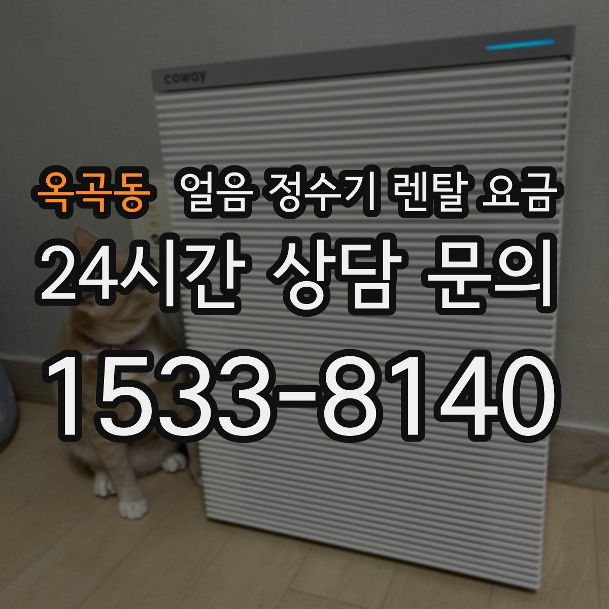 옥곡동 얼음 정수기 렌탈 요금 필터 관리까지 포함되는지 확인하는 방법