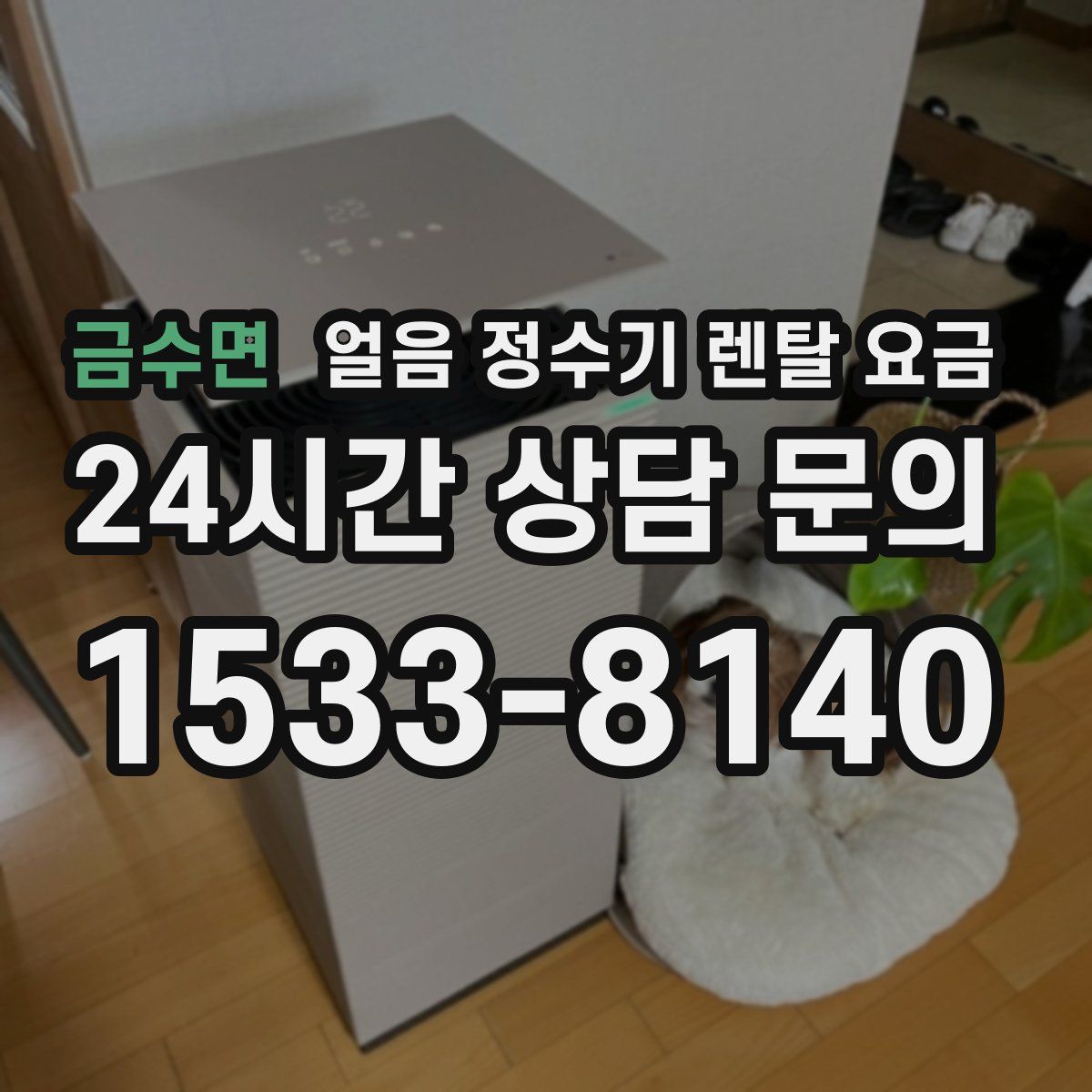 금수면 얼음 정수기 렌탈 요금