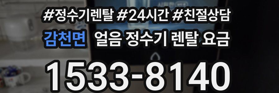 감천면 얼음 정수기 렌탈 요금