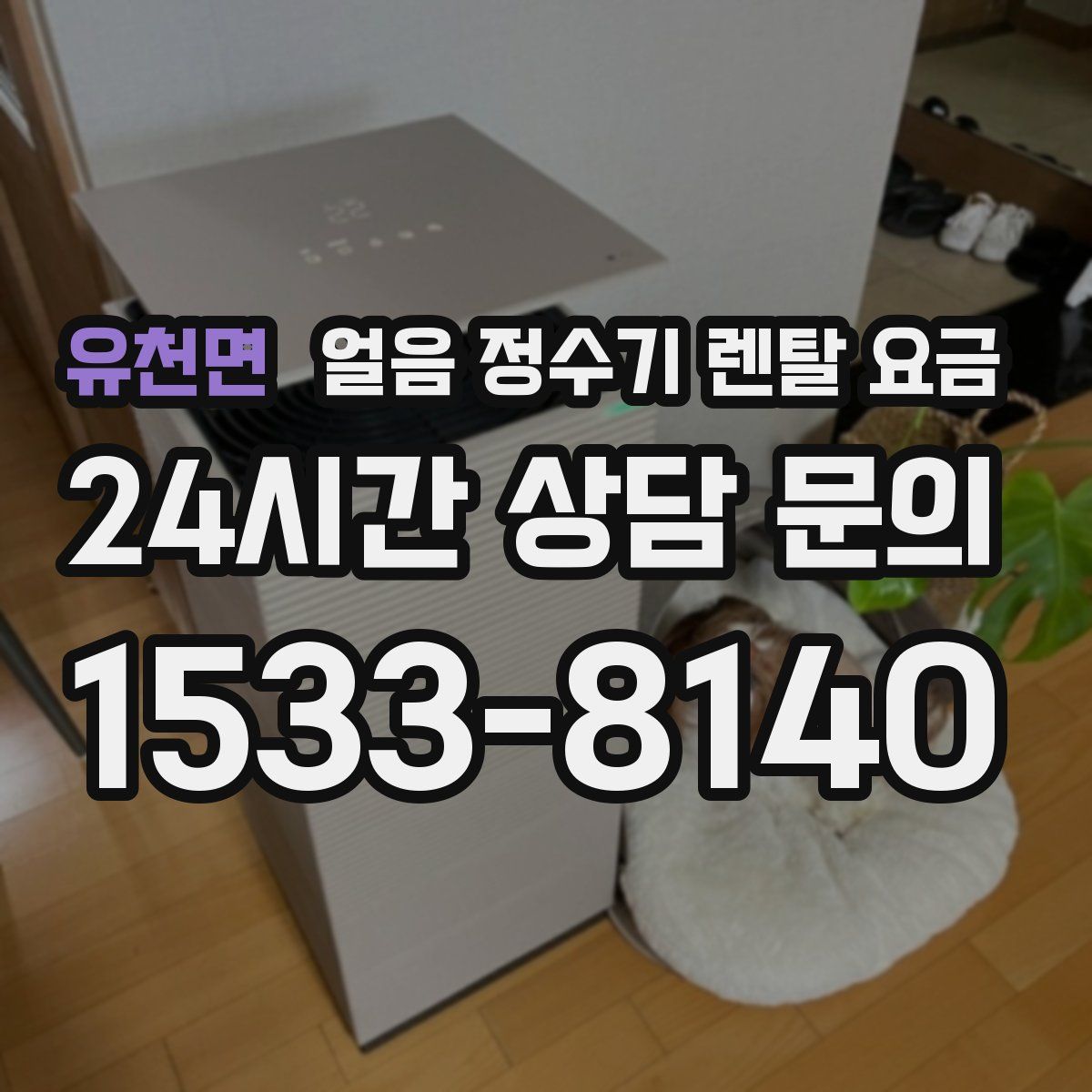 유천면 얼음 정수기 렌탈 요금