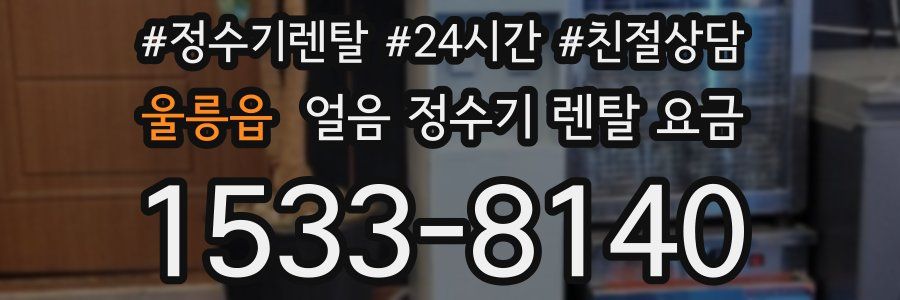 울릉읍 얼음 정수기 렌탈 요금