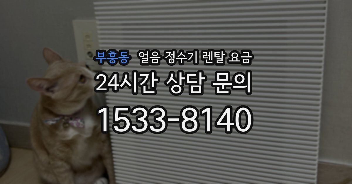 부흥동 얼음 정수기 렌탈 요금