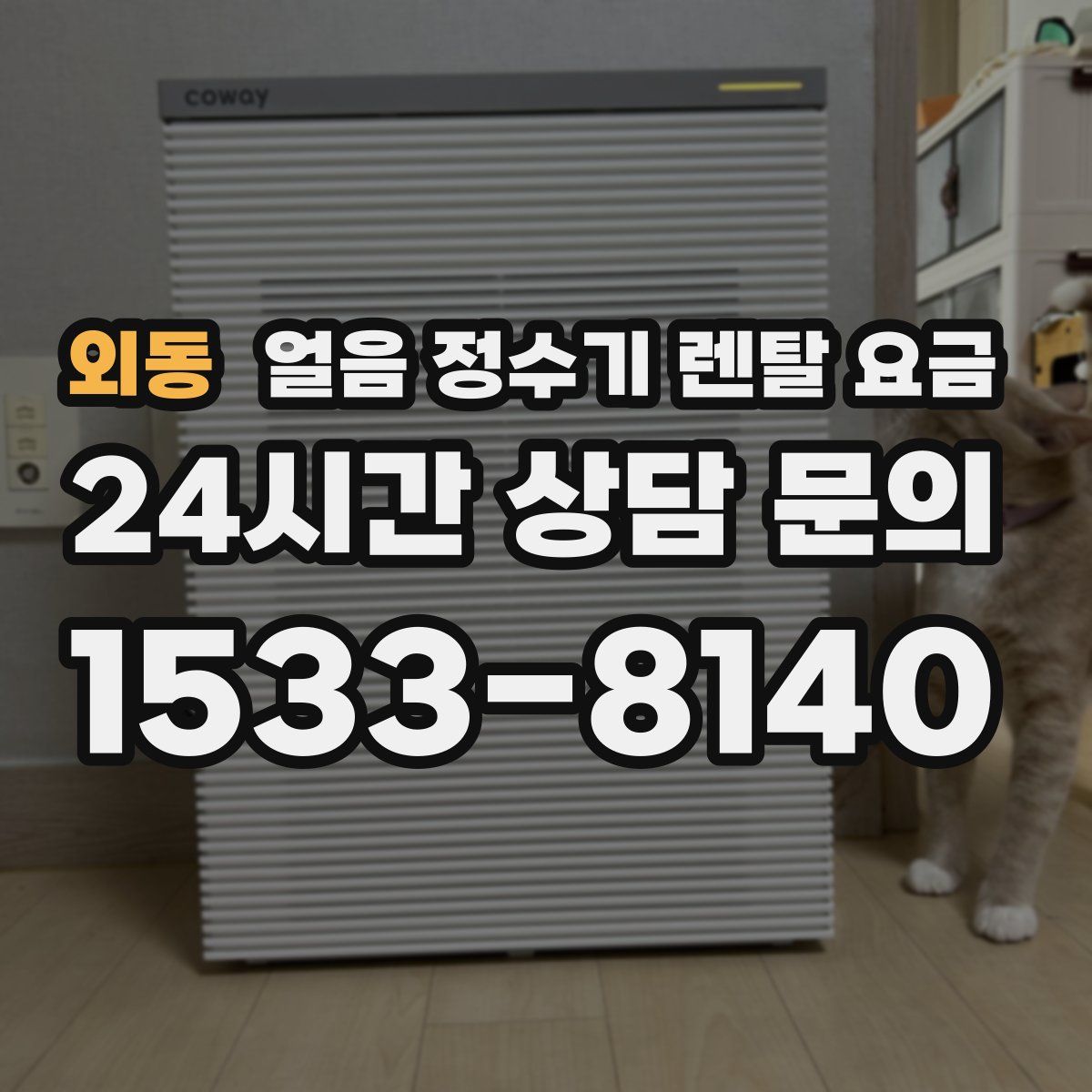 외동 얼음 정수기 렌탈 요금