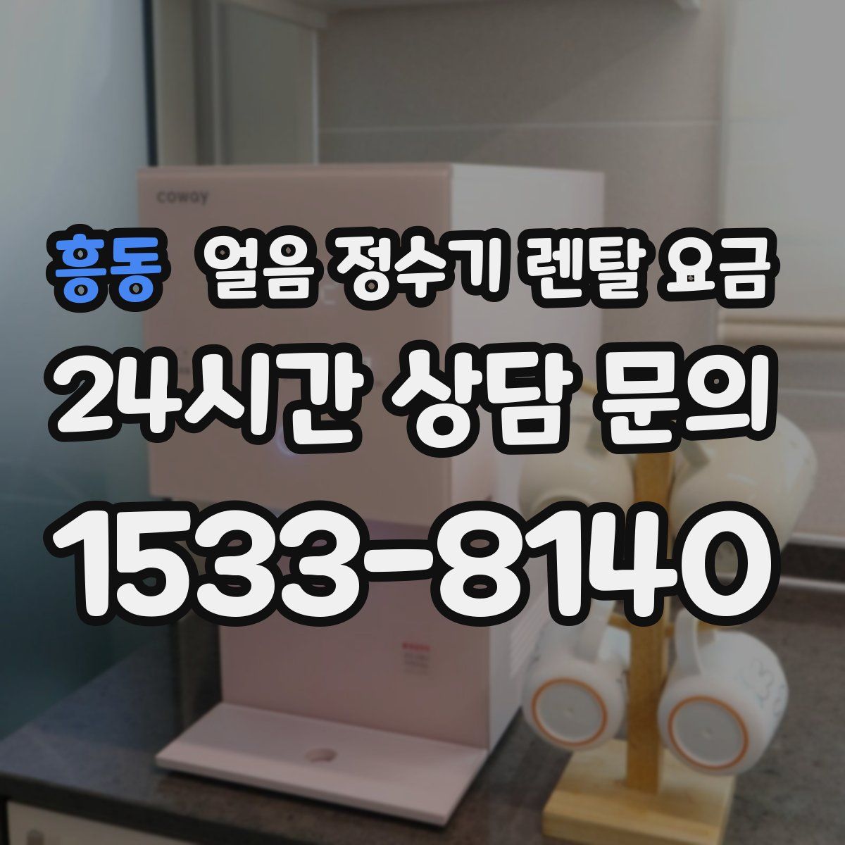 흥동 얼음 정수기 렌탈 요금