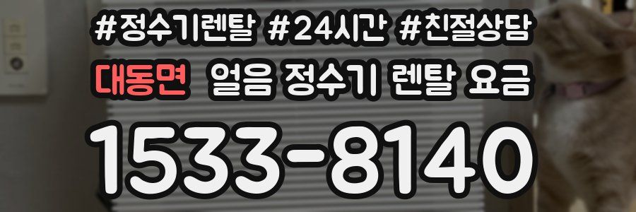 대동면 얼음 정수기 렌탈 요금