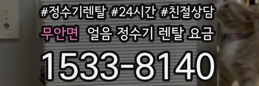 무안면 얼음 정수기 렌탈 요금