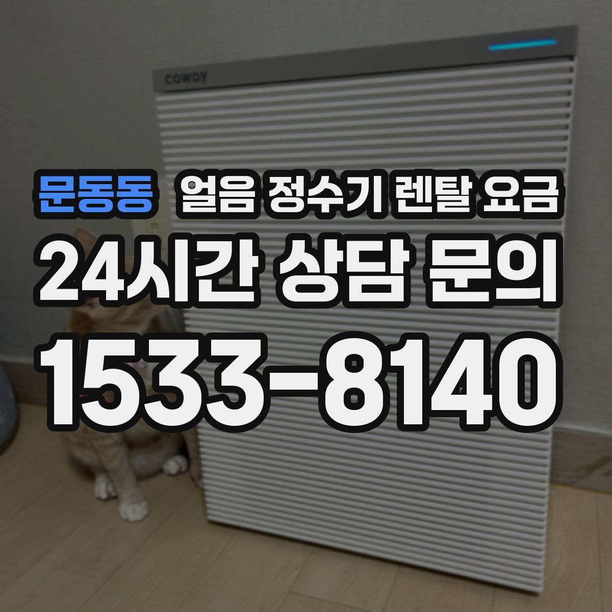 문동동 얼음 정수기 렌탈 요금