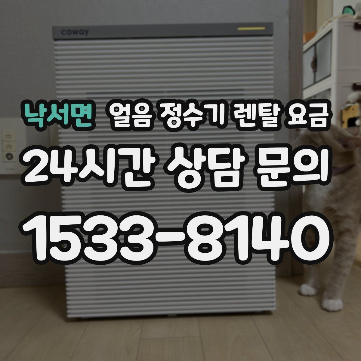 낙서면 얼음 정수기 렌탈 요금 이벤트 시기별 차이 정리