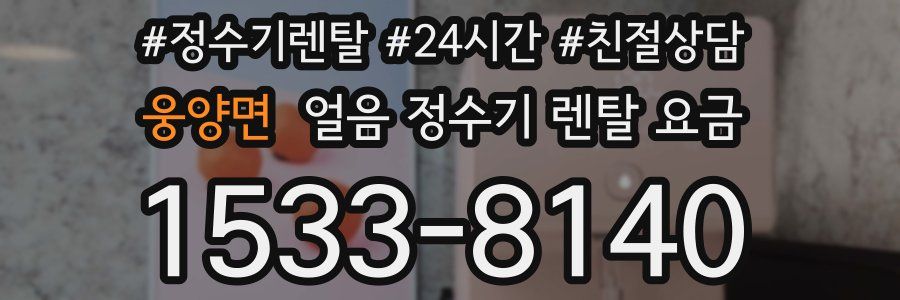 웅양면 얼음 정수기 렌탈 요금