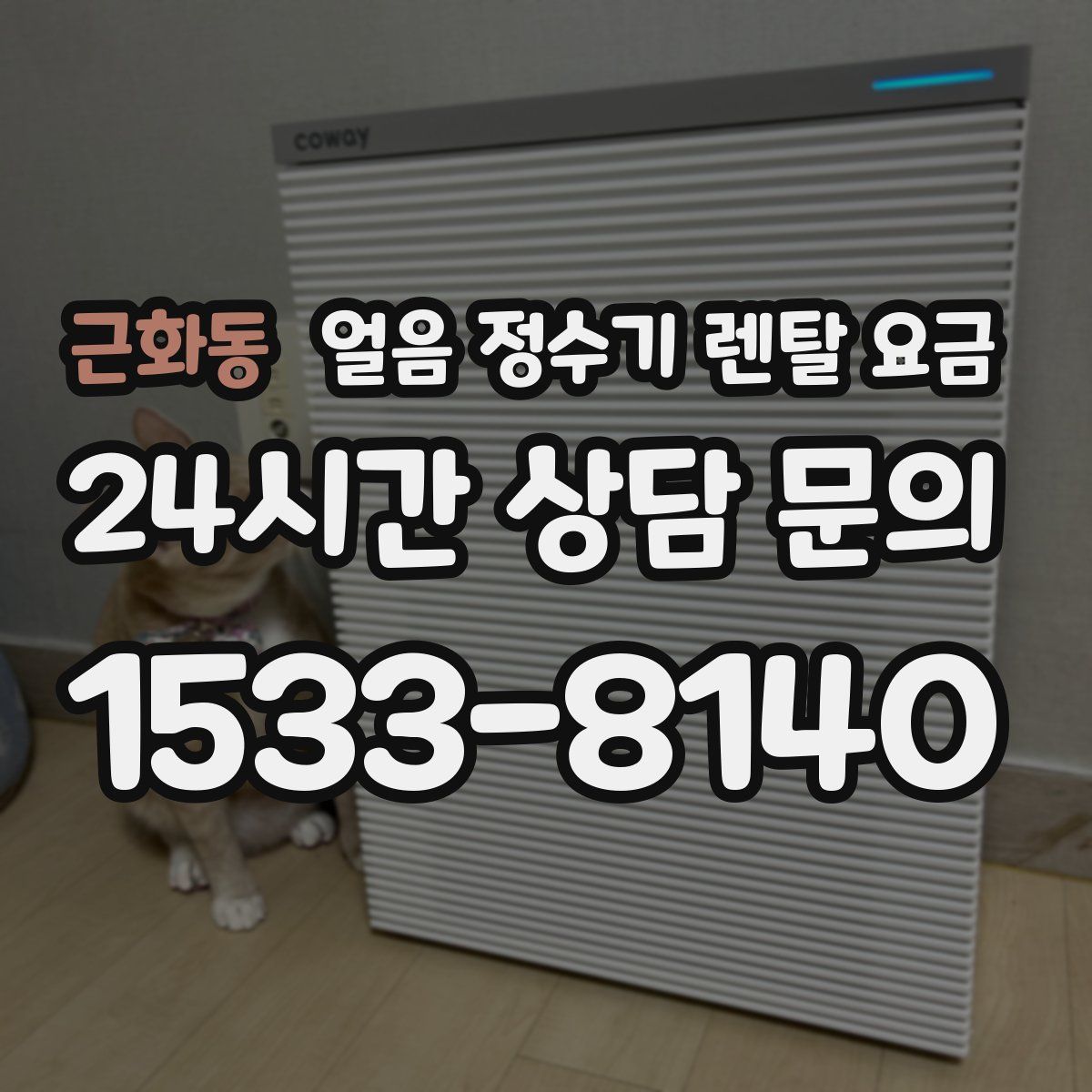 근화동 얼음 정수기 렌탈 요금