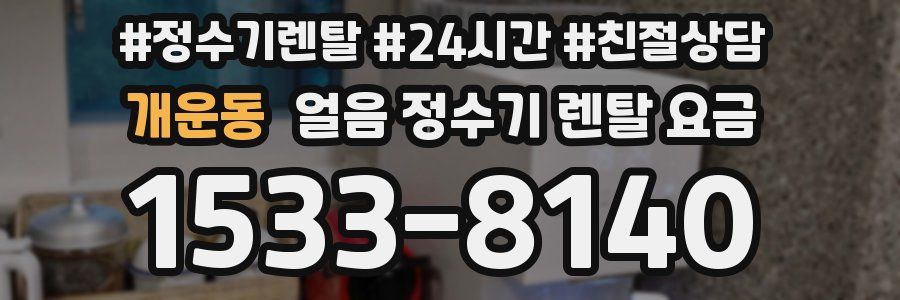 개운동 얼음 정수기 렌탈 요금