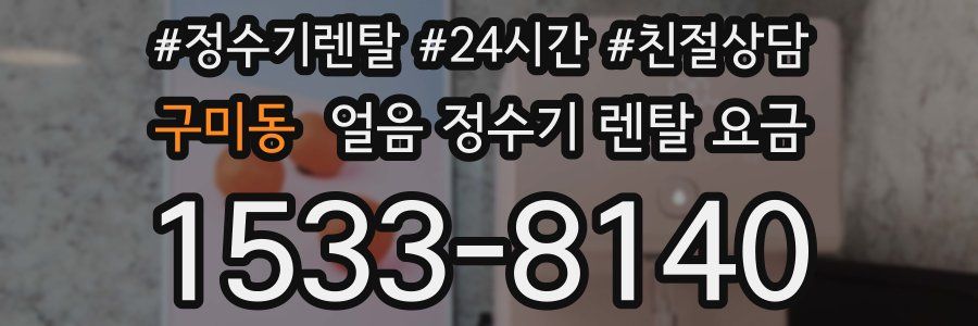 구미동 얼음 정수기 렌탈 요금