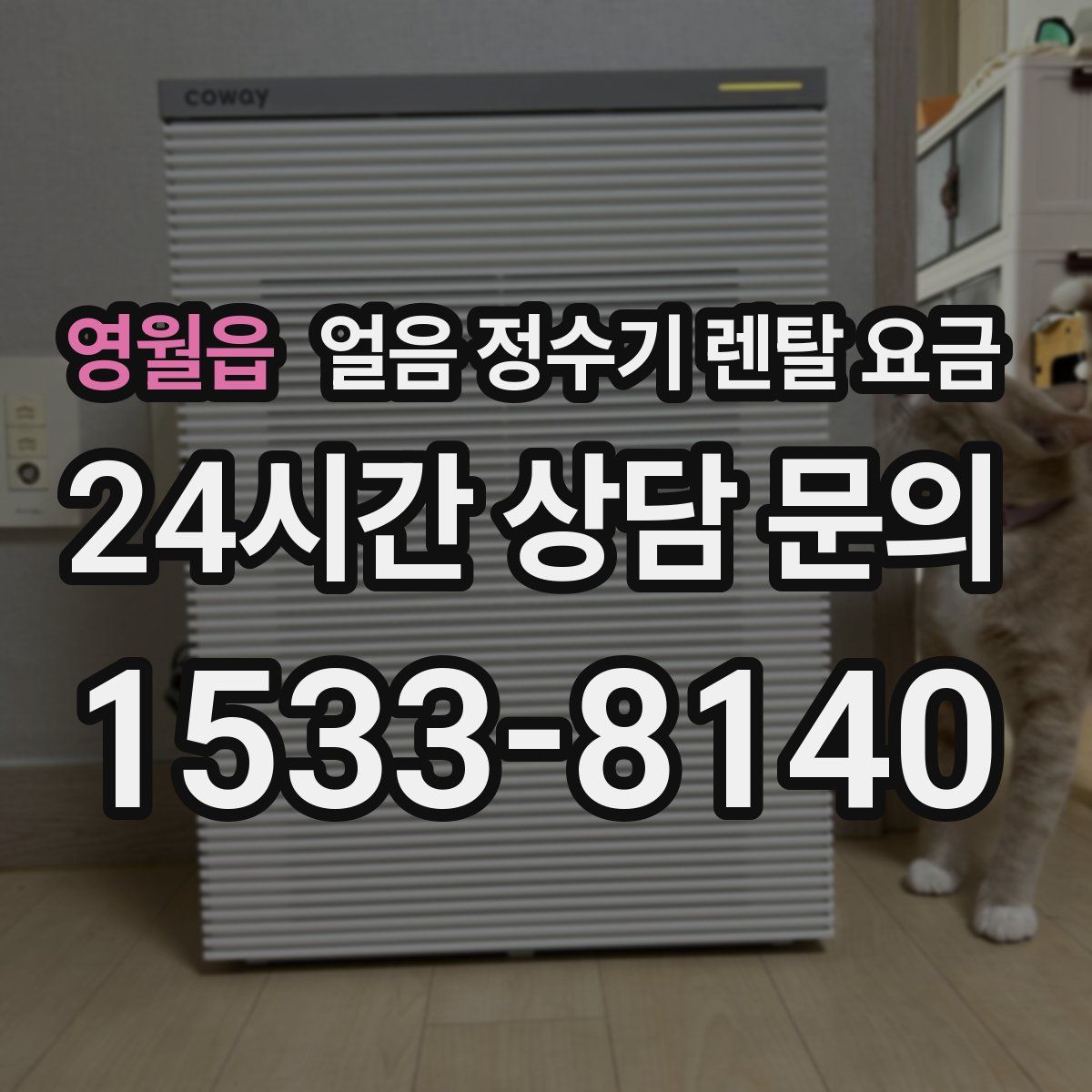 영월읍 얼음 정수기 렌탈 요금
