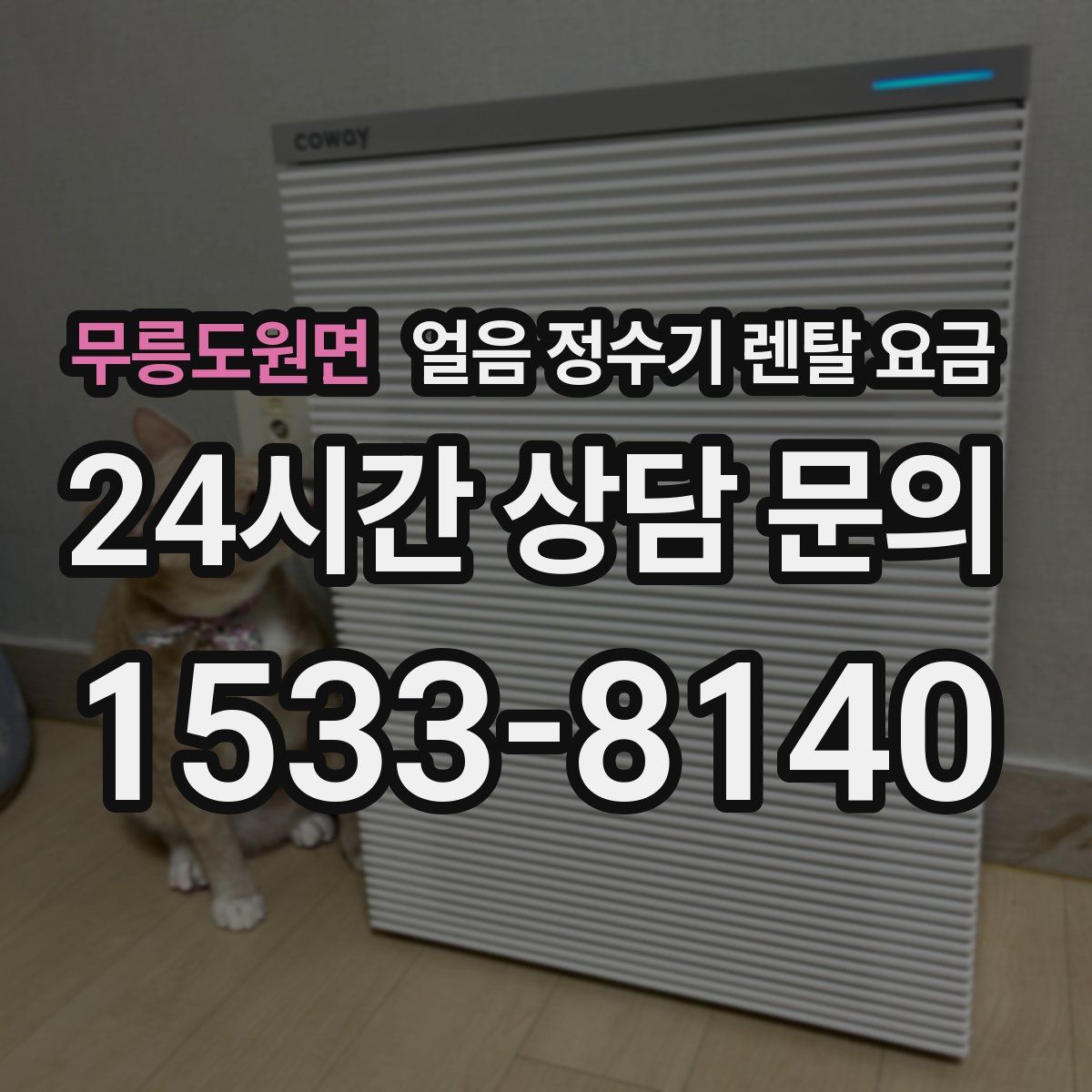 무릉도원면 얼음 정수기 렌탈 요금
