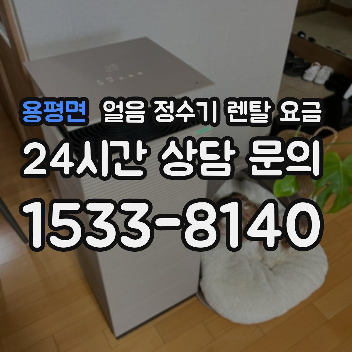 용평면 얼음 정수기 렌탈 요금