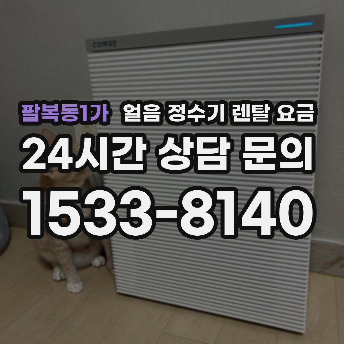 팔복동1가 얼음 정수기 렌탈 요금