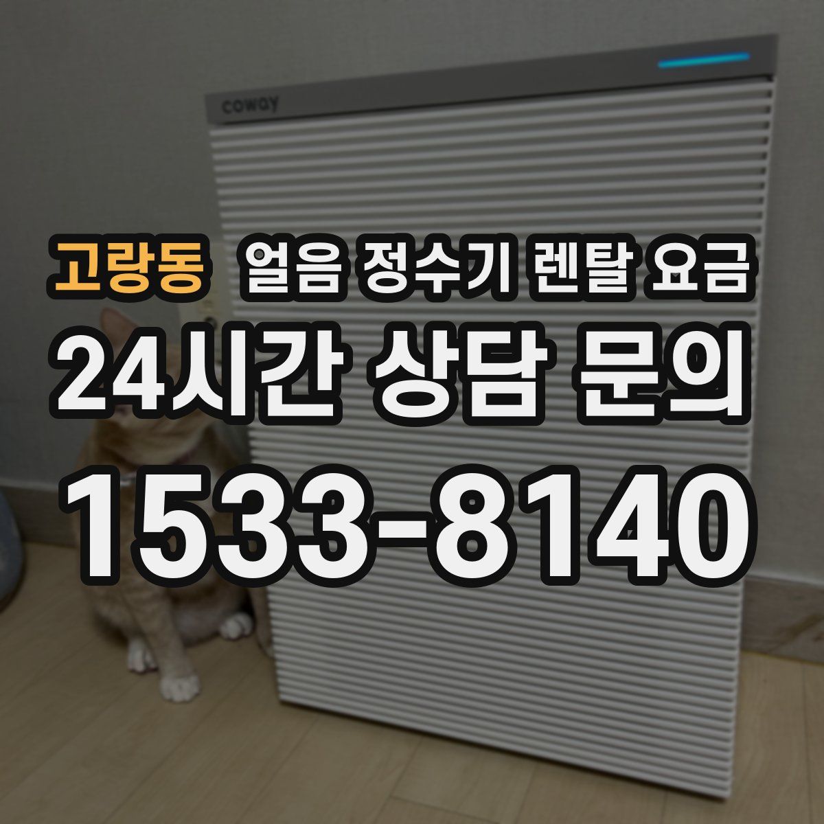 고랑동 얼음 정수기 렌탈 요금
