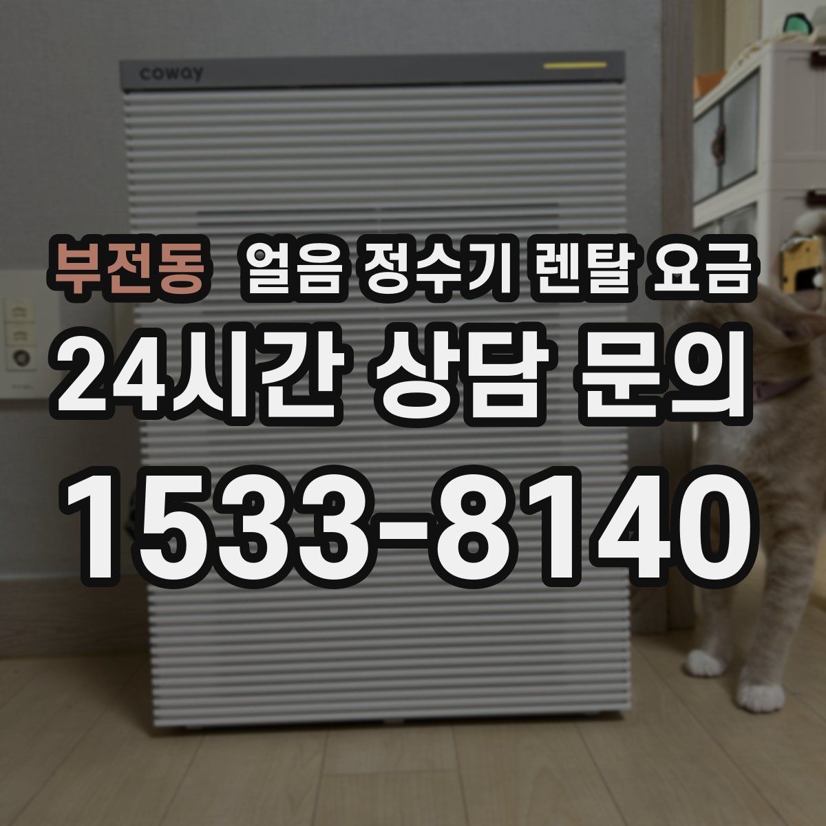 부전동 얼음 정수기 렌탈 요금