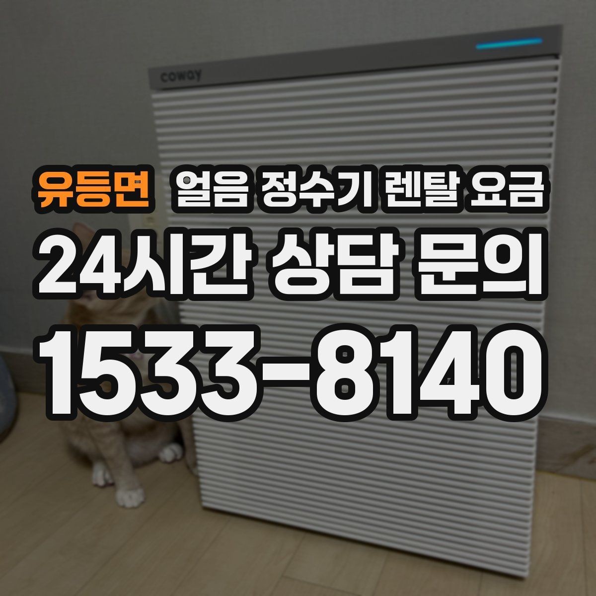 유등면 얼음 정수기 렌탈 요금 렌탈료가 저렴한 제품의 특징