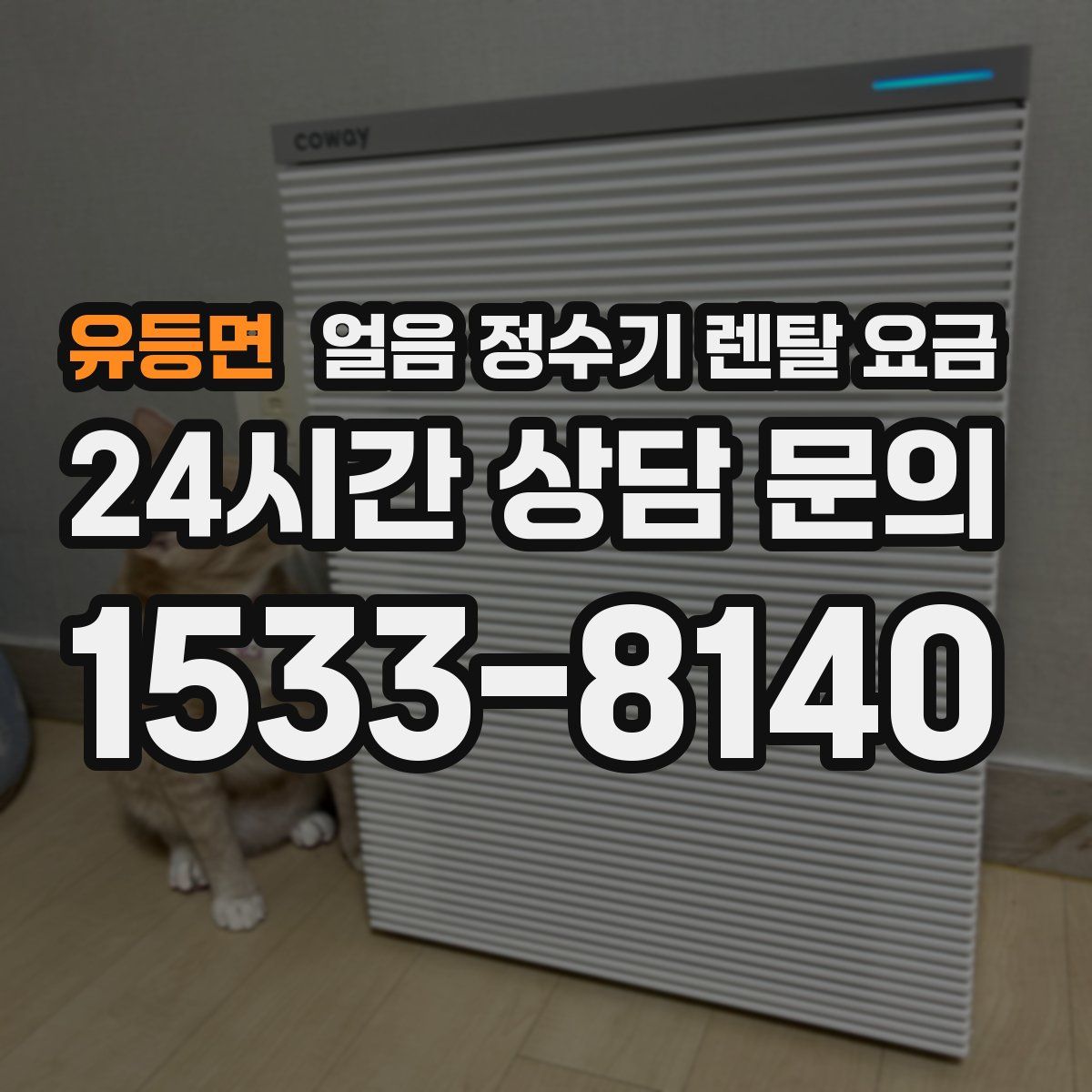 유등면 얼음 정수기 렌탈 요금