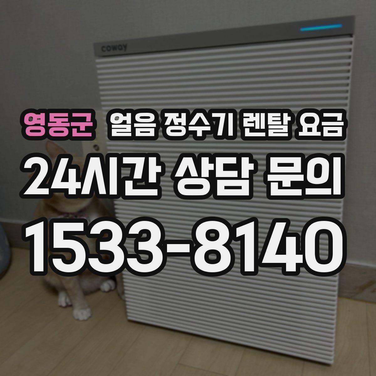 영동군 얼음 정수기 렌탈 요금 부담 줄이는 현실적인 방법