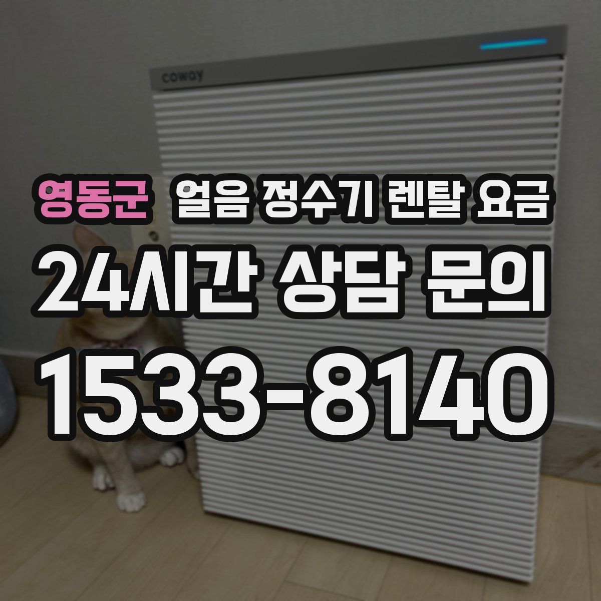 영동군 얼음 정수기 렌탈 요금