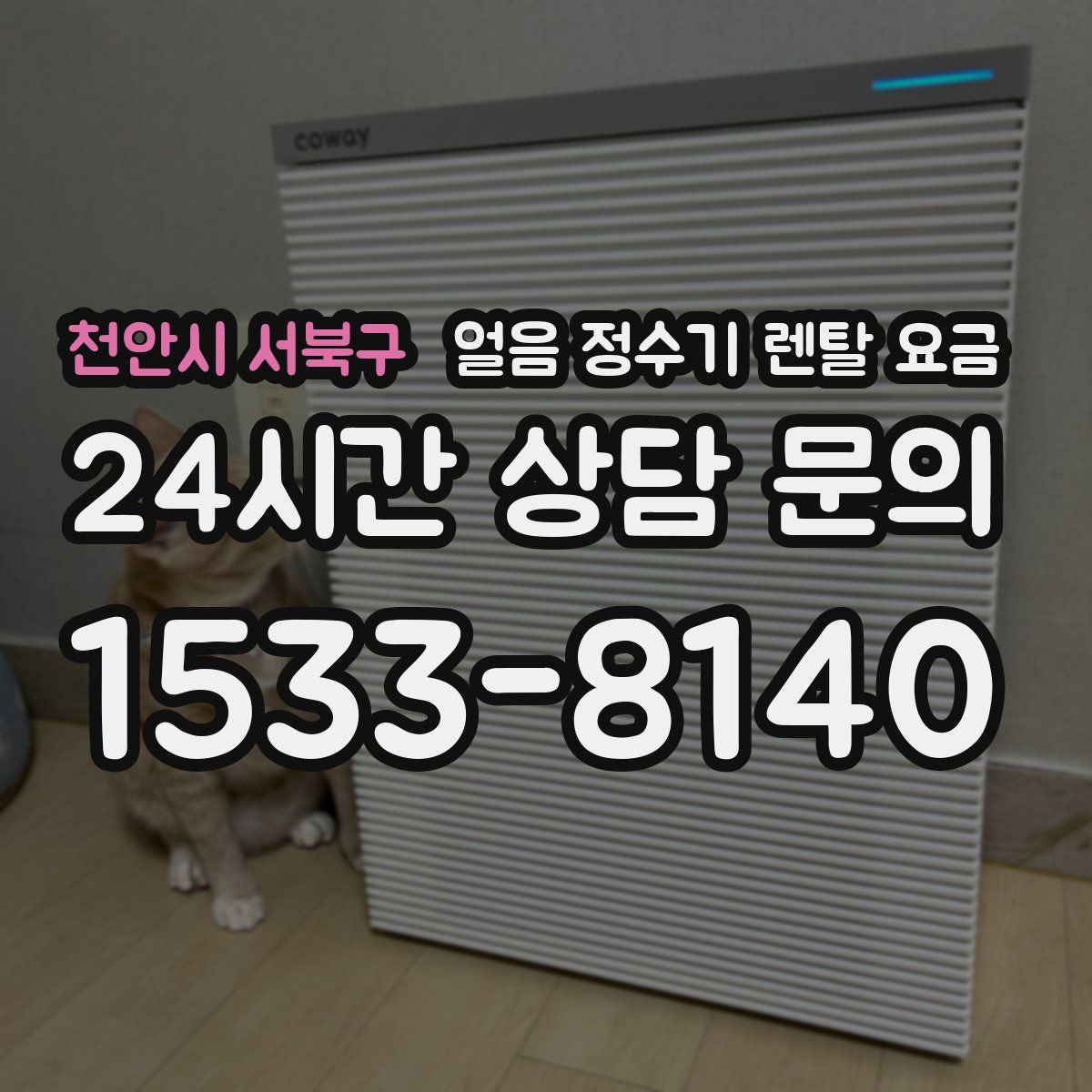 천안시 서북구 얼음 정수기 렌탈 요금