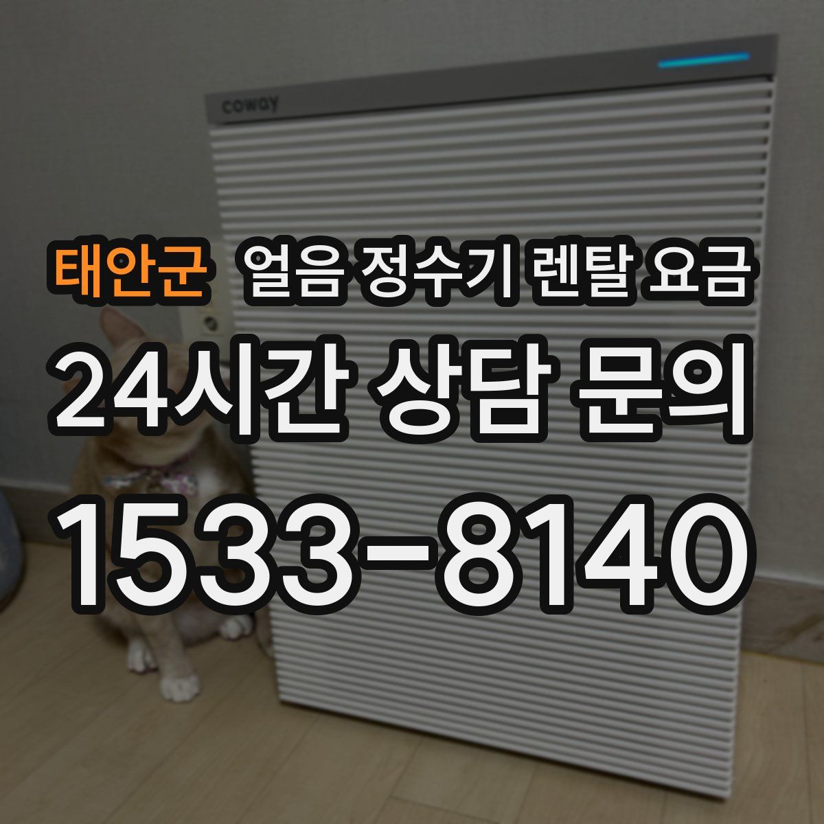 태안군 얼음 정수기 렌탈 요금