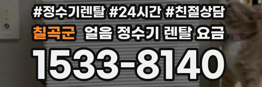 칠곡군 얼음 정수기 렌탈 요금