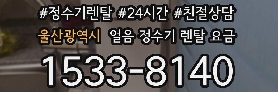 울산광역시 얼음 정수기 렌탈 요금