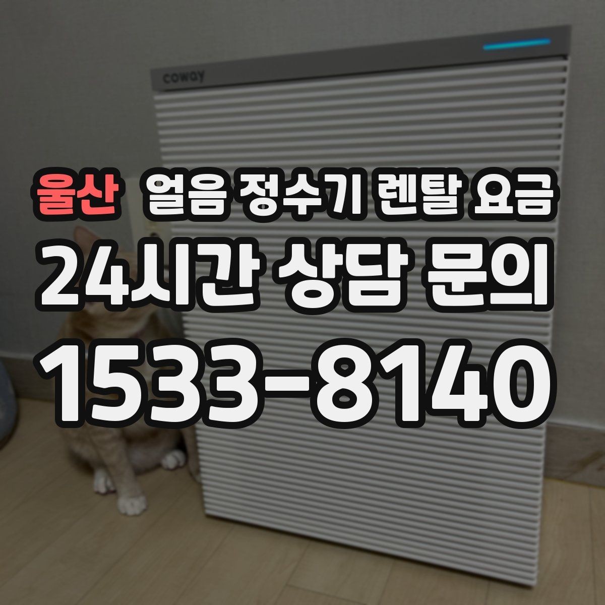 울산 얼음 정수기 렌탈 요금 불필요한 기능 줄이는 기준