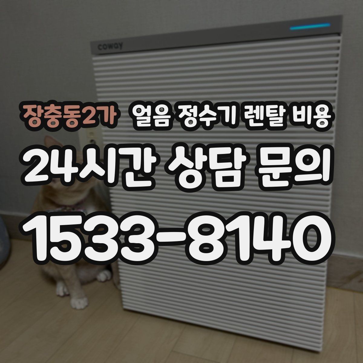장충동2가 얼음 정수기 렌탈 비용 만족도가 높은 제품 특징
