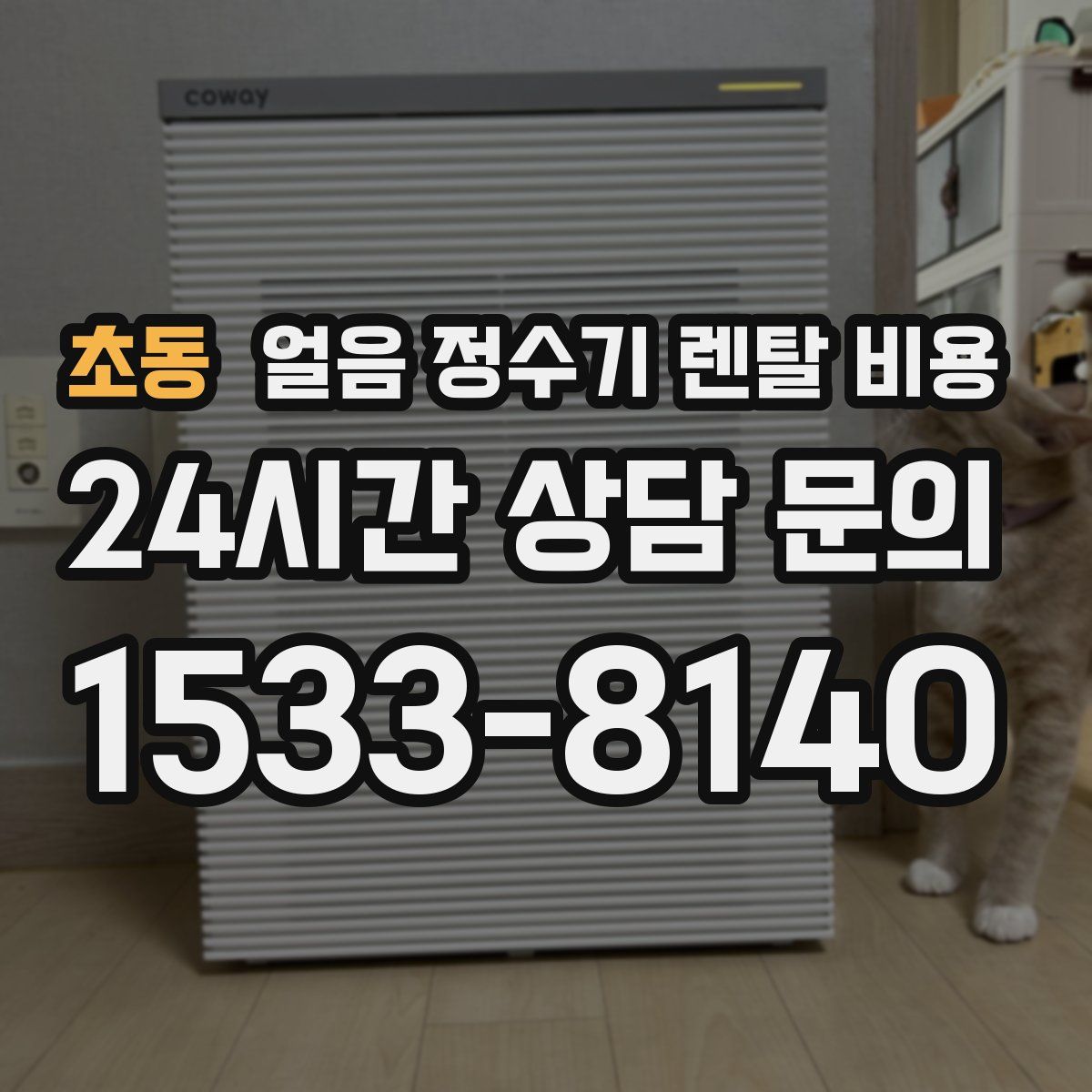 초동 얼음 정수기 렌탈 비용