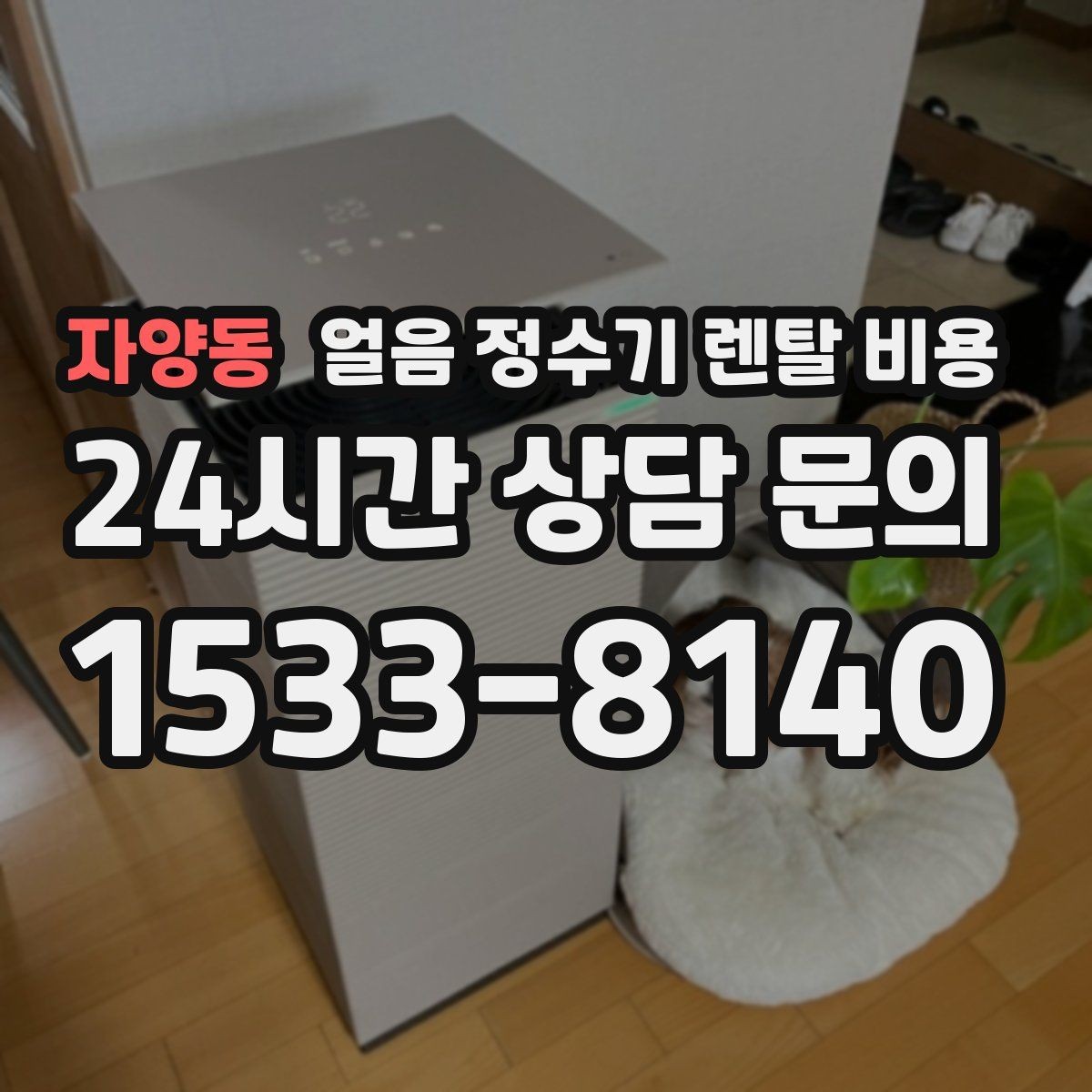 자양동 얼음 정수기 렌탈 비용 렌탈 종료 후 선택지 정리