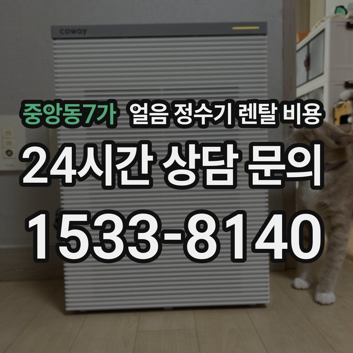 중앙동7가 얼음 정수기 렌탈 비용