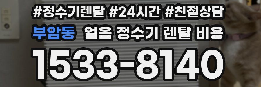 부암동 얼음 정수기 렌탈 비용