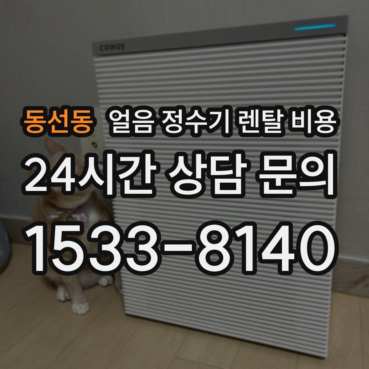 동선동 얼음 정수기 렌탈 비용