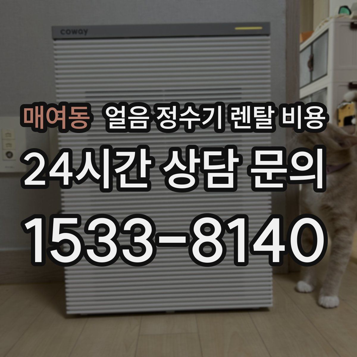 매여동 얼음 정수기 렌탈 비용