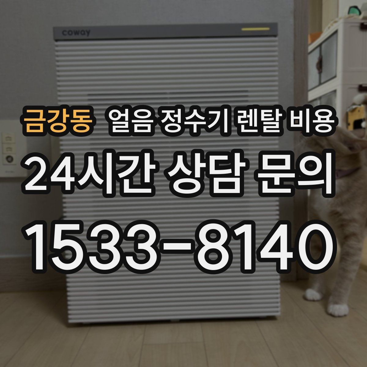 금강동 얼음 정수기 렌탈 비용 단순 비교로 끝내면 안 되는 이유